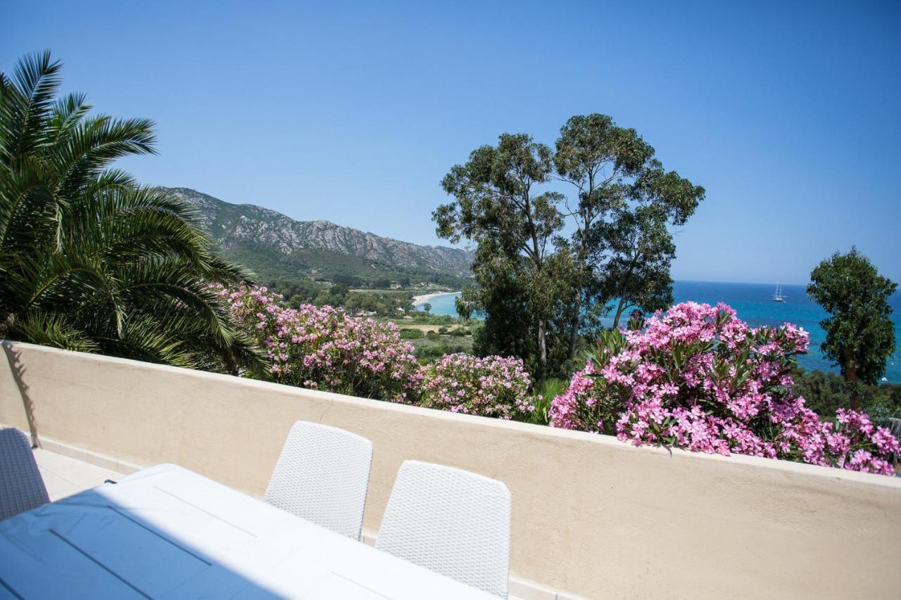 Appartement Terrasse La Citadelle Appartements Saint Florent Esterno foto